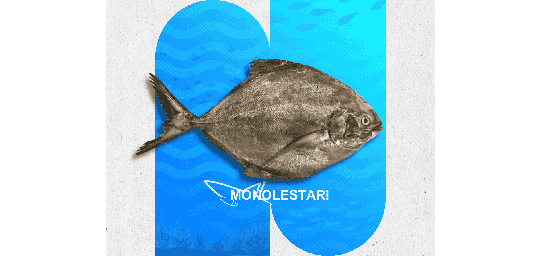 Ikan BAWAL HITAM Segar Monolestari