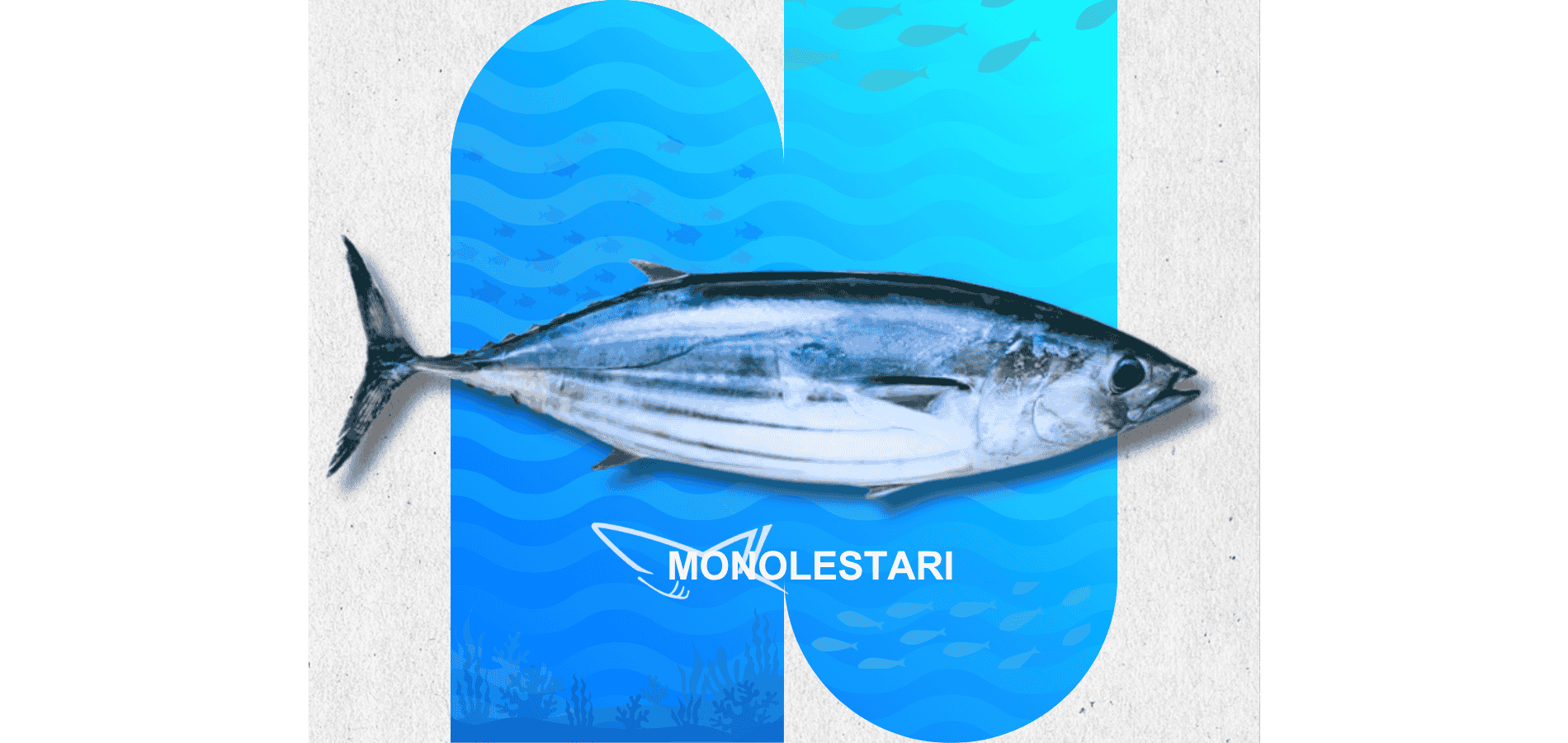 Ikan CAKALANG Segar Monolestari