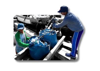 Fasilitas Penampungan Ikan Monolestari