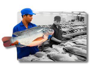 Fasilitas Penampungan Ikan Monolestari