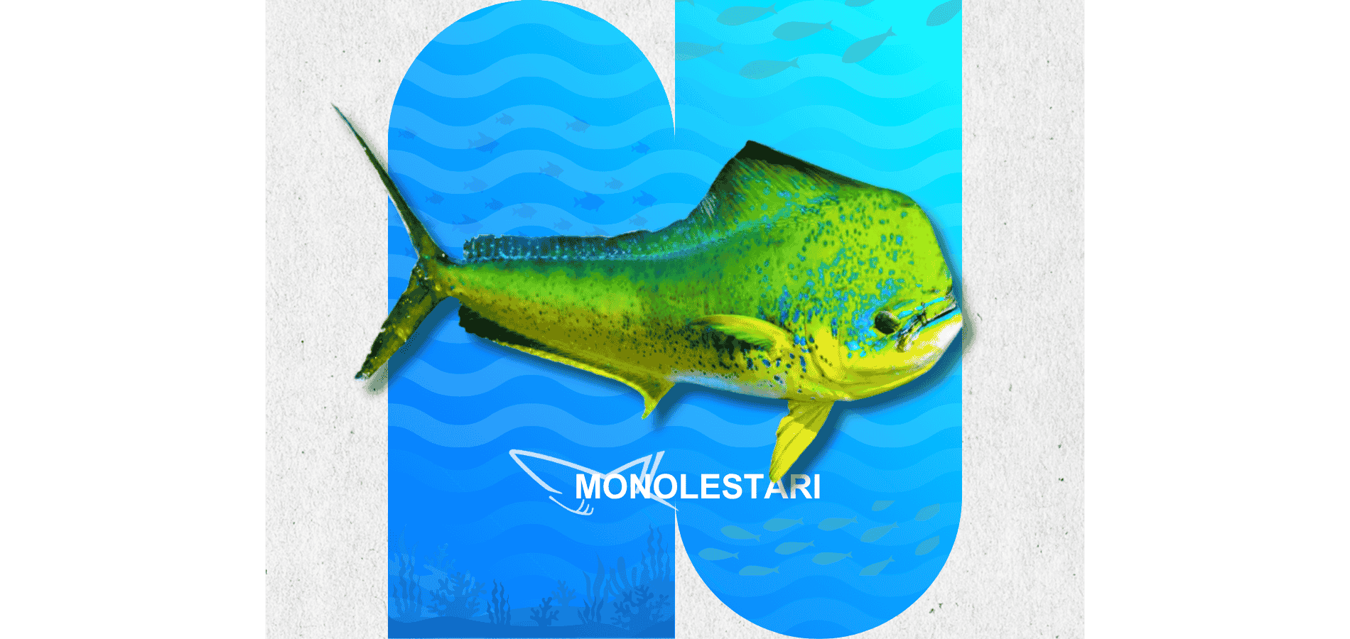 Ikan Mahi-Mahi Segar Monolestari