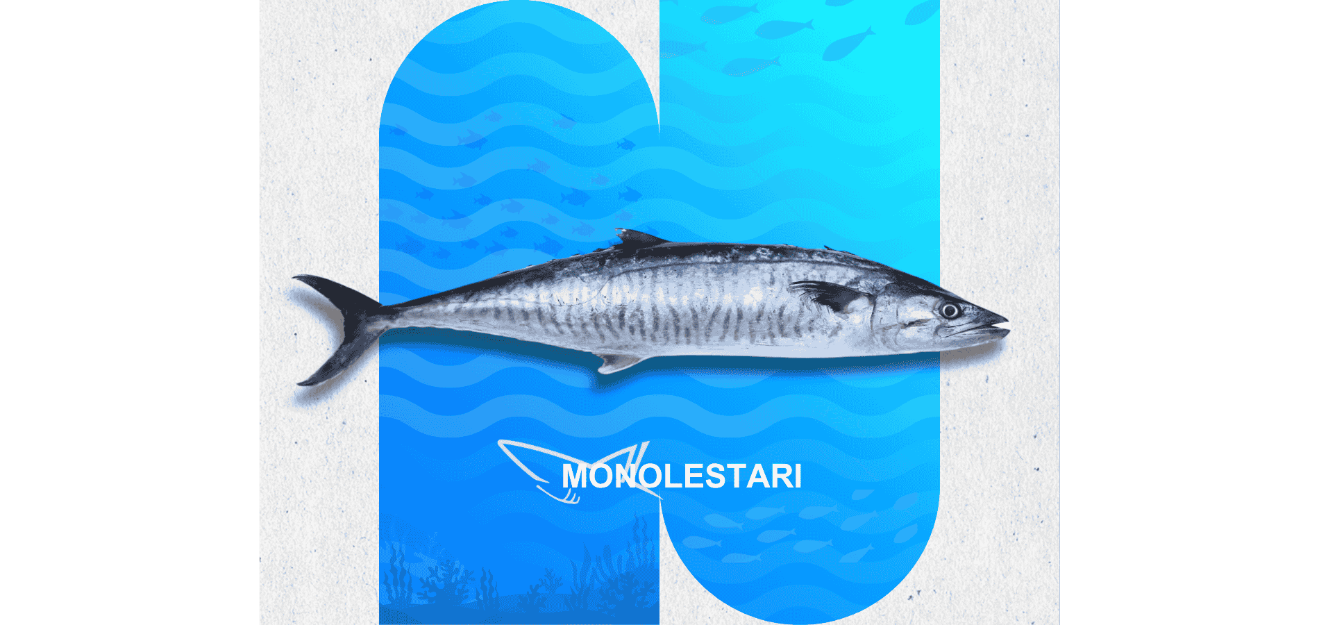 Ikan TENGIRI Segar Monolestari